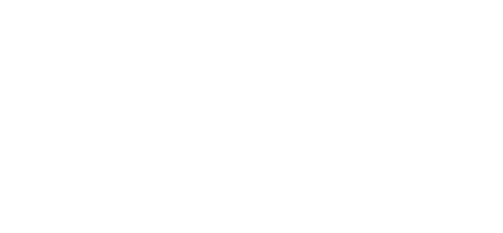 Baffalo Blu